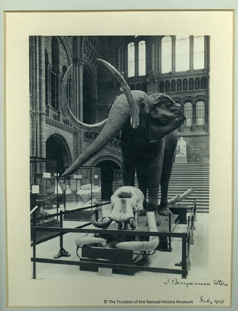 http://www.nhm.ac.uk/resources/natureplus/images/library/20150325/PH_3_2_3_8_central-hall.jpg