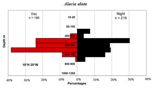 bathymetry data for Alacia  alata alata