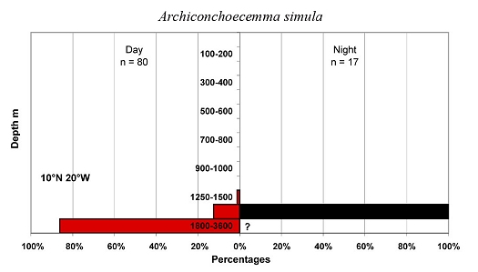 bathymetry data for Archiconchoecemma  simula