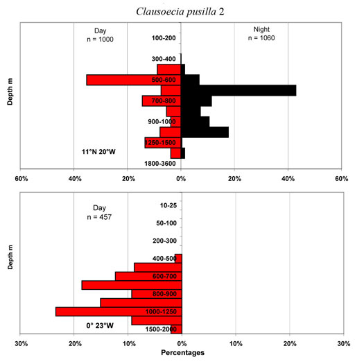 bathymetry data for Clausoecia  pusilla