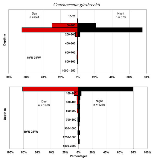 bathymetry data for Conchoecetta  giesbrechti