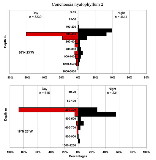 bathymetry data for Conchoecia  hyalophyllum