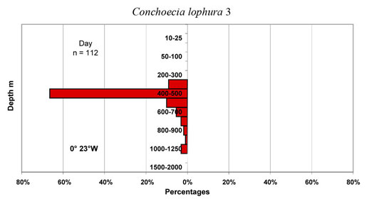 bathymetry data for Conchoecia  lophura