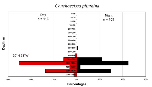 bathymetry data for Conchoecissa  plinthina
