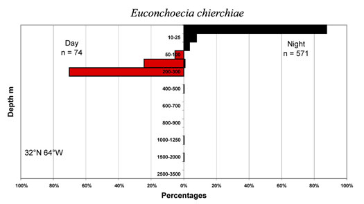 bathymetry data for Euconchoecia  chierchiae