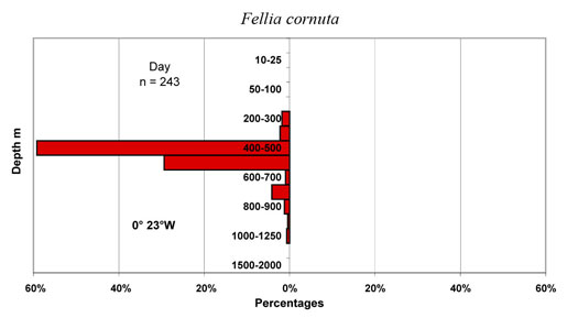 bathymetry data for Fellia  cornuta