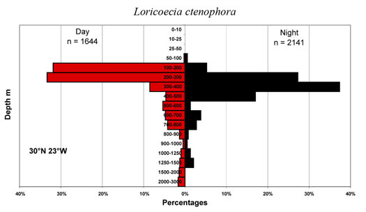 bathymetry data for Loricoecia  ctenophora