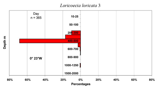 bathymetry data for Loricoecia  loricata