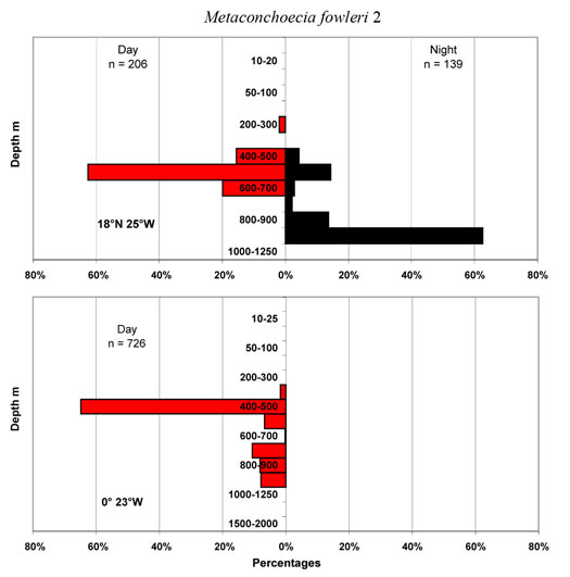 bathymetry data for Metaconchoecia  fowleri