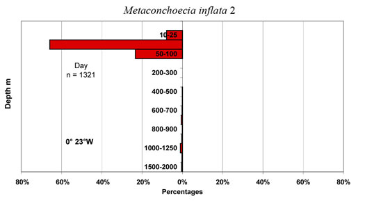bathymetry data for Metaconchoecia  inflata