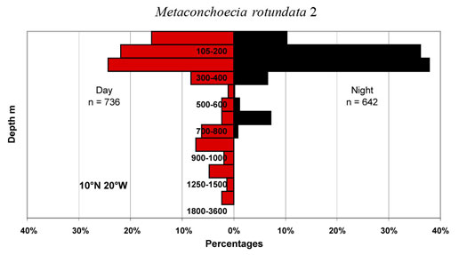 bathymetry data for Metaconchoecia  rotundata