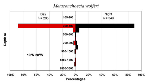 bathymetry data for Metaconchoecia  wolferi