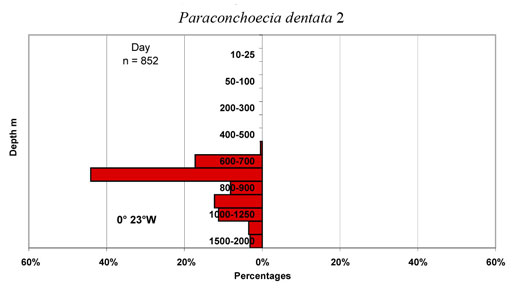 bathymetry data for Paraconchoecia  dentata