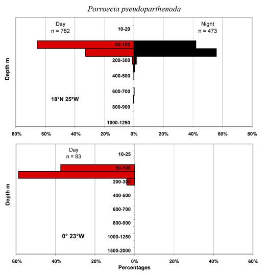 bathymetry data for Porroecia  pseudoparthenoda