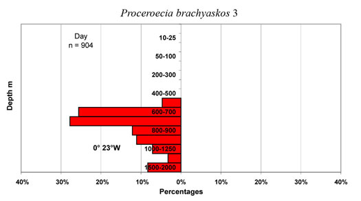 bathymetry data for Proceroecia  brachyaskos