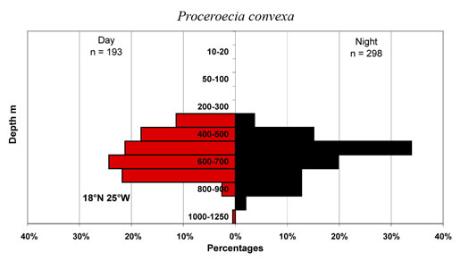 bathymetry data for Proceroecia  convexa