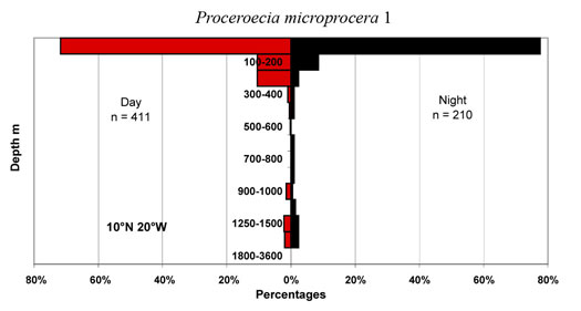bathymetry data for Proceroecia  microprocera