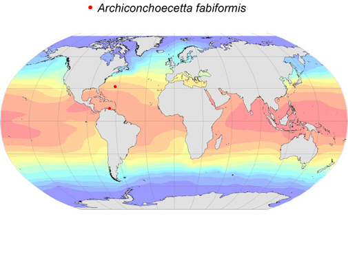 Distribution map for Archiconchoecetta  fabiformis