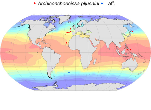 Distribution map for Archiconchoecissa  pljusnini