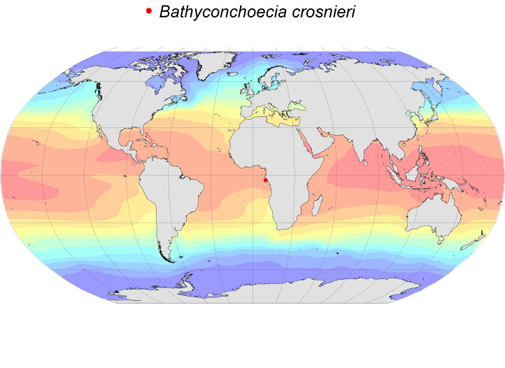 Distribution map for Bathyconchoecia  crosnieri