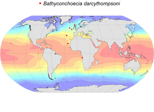 Distribution map for Bathyconchoecia  darcythompsoni