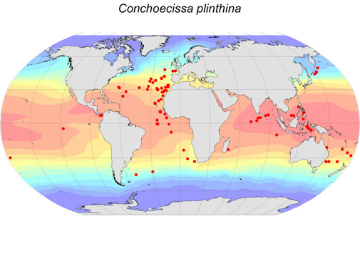 Distribution map for Conchoecissa  plinthina