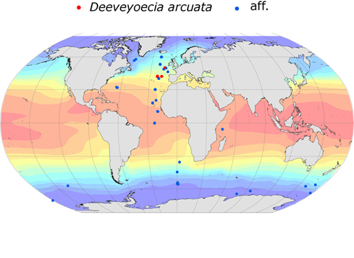 Distribution map for Deeveyoecia  arcuata