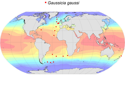 Distribution map for Gaussicia  gaussi