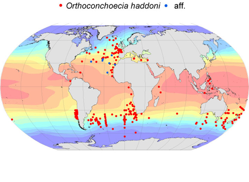 Distribution map for Orthoconchoecia  haddoni
