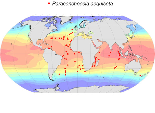 Distribution map for Paraconchoecia  aequiseta