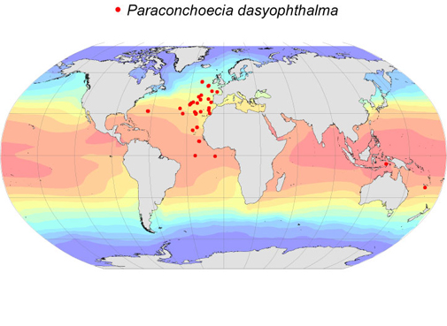 Distribution map for Paraconchoecia  dasyophthalma
