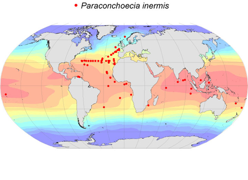 Distribution map for Paraconchoecia  inermis