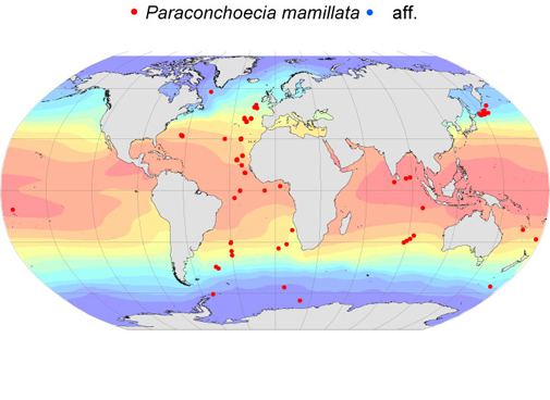Distribution map for Paraconchoecia  mamillata