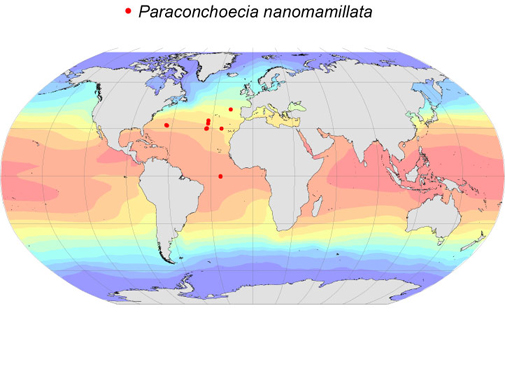 Distribution map for Paraconchoecia  nanomamillata