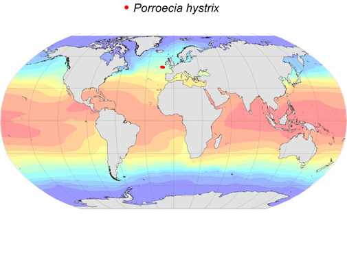 Distribution map for Porroecia  hystrix