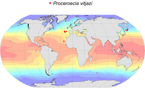 Distribution map for Proceroecia  vitjazi