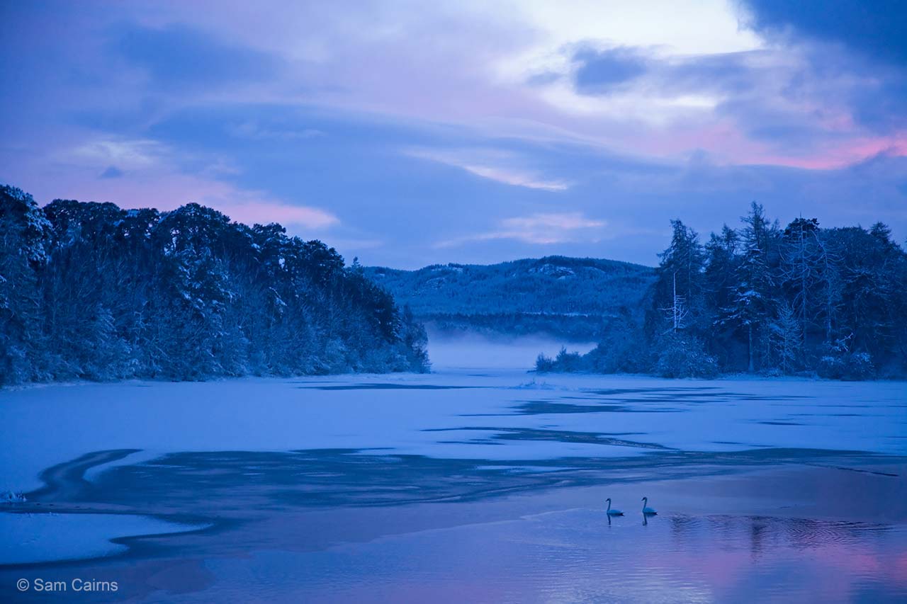 Swan loch