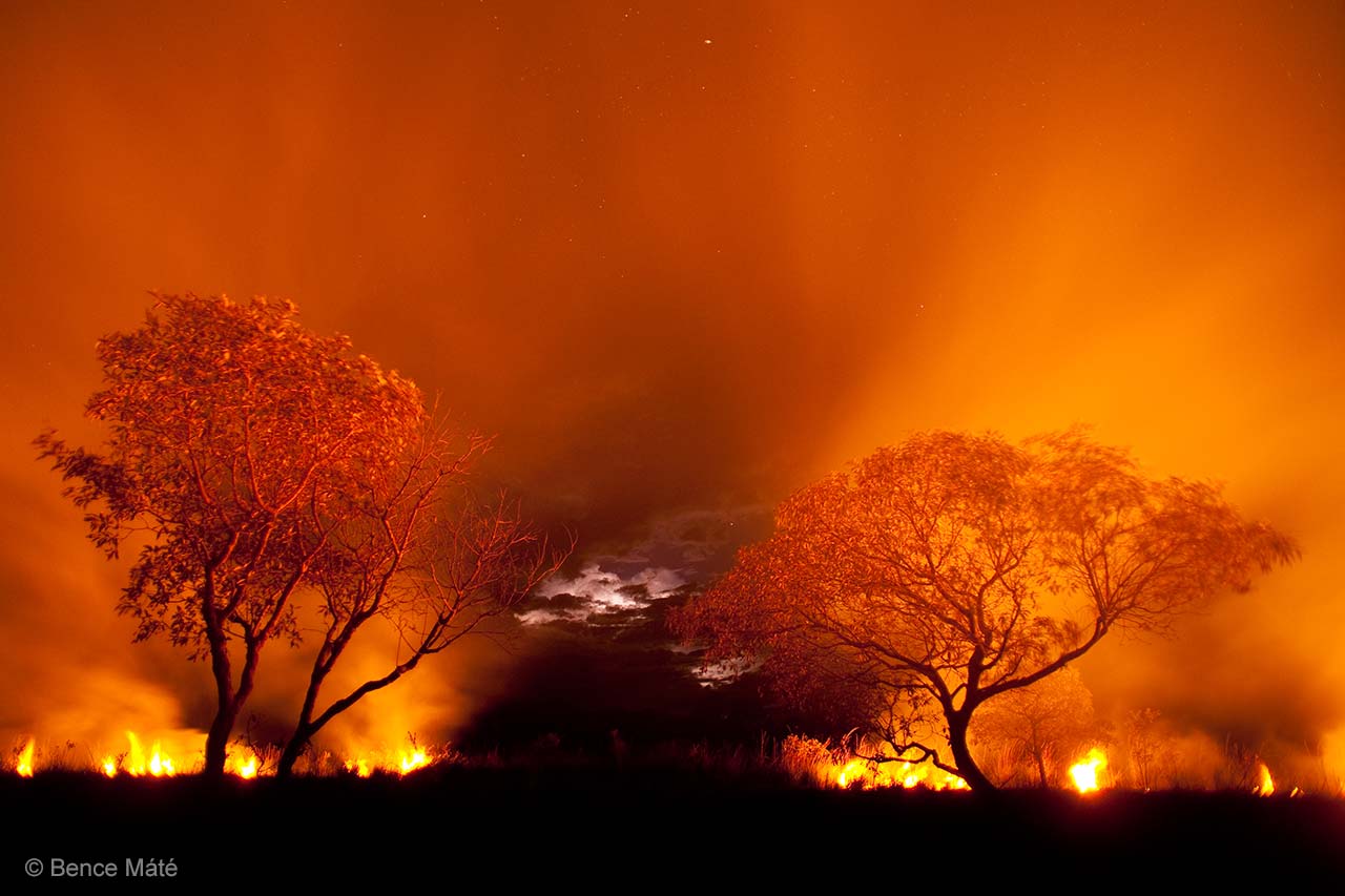 Fire on the Pantanal