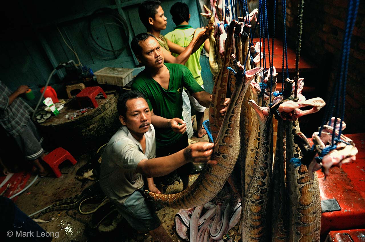 The skin trade