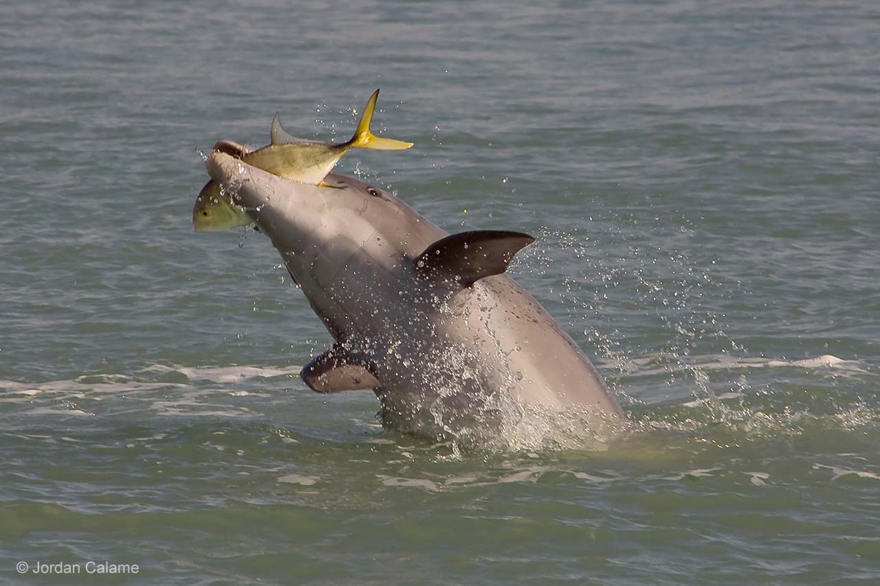 Catch of the day
