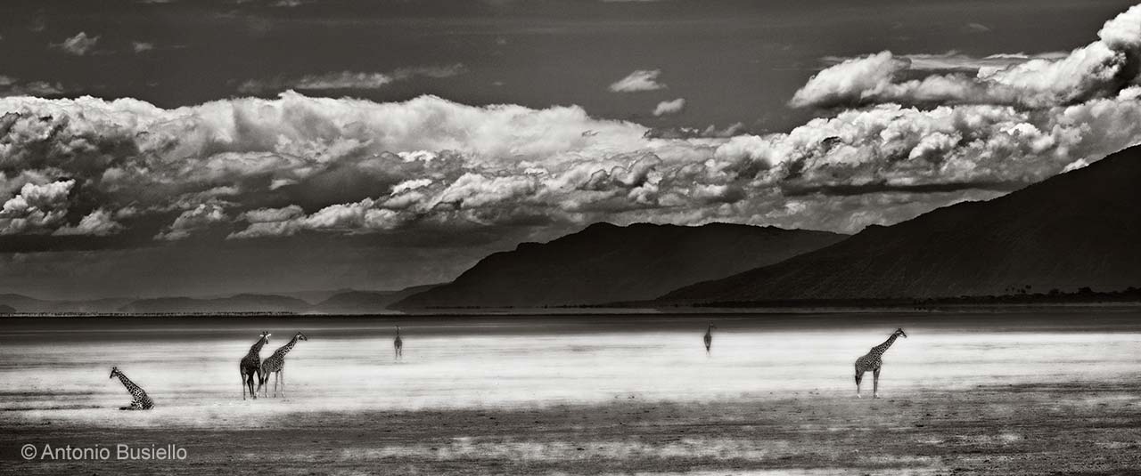 Storm gathering