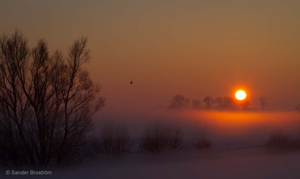 Mist rising at sunset