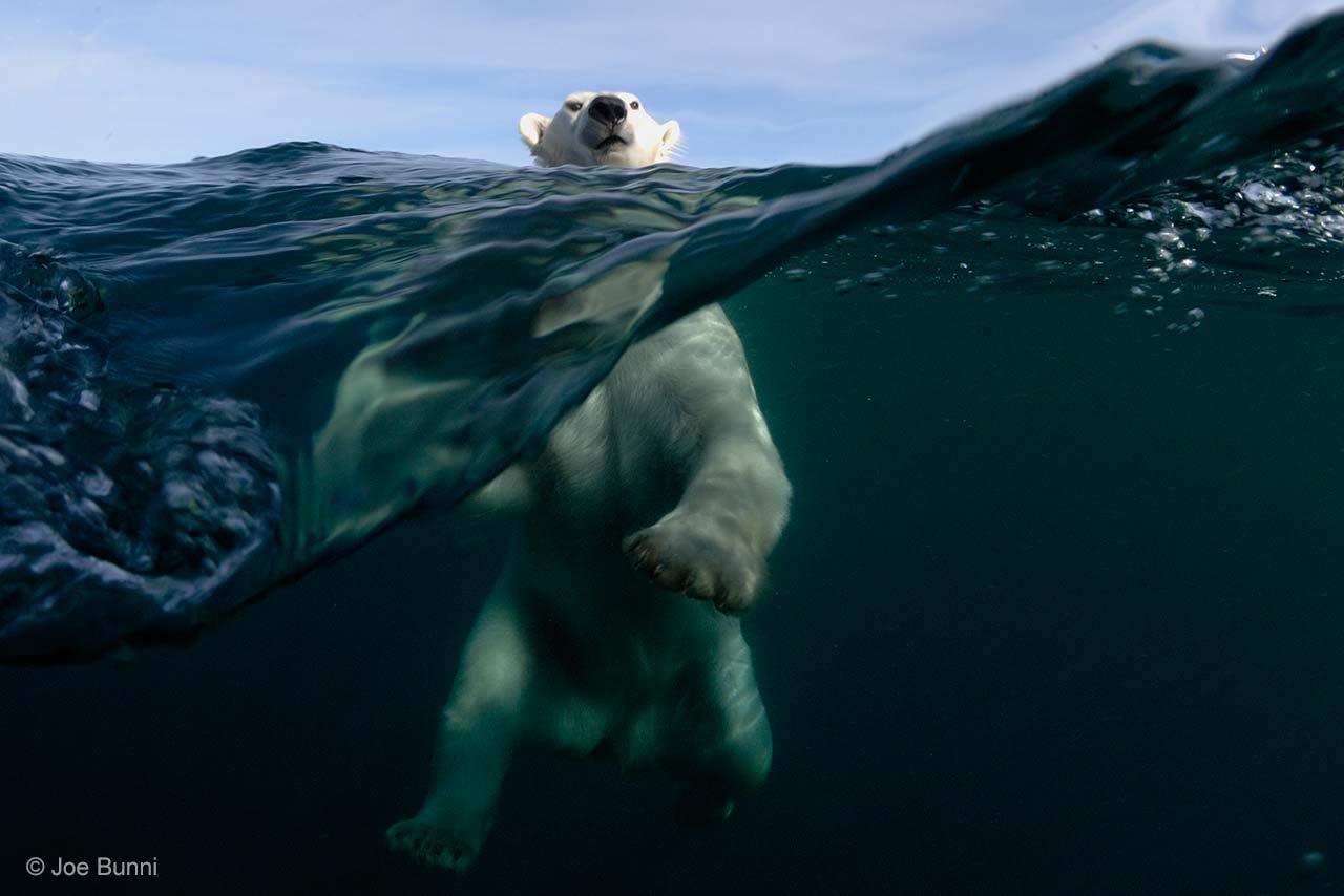 Polar power