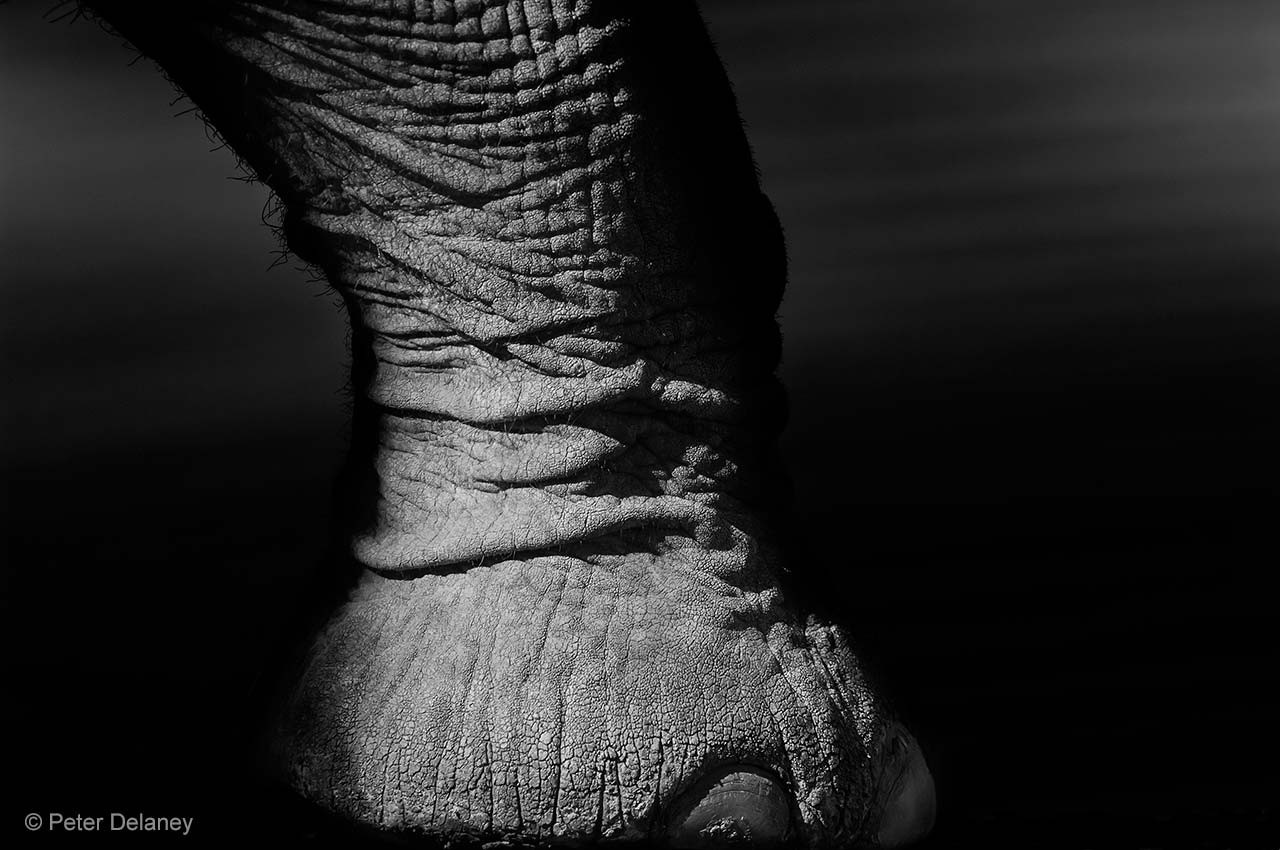 Big foot