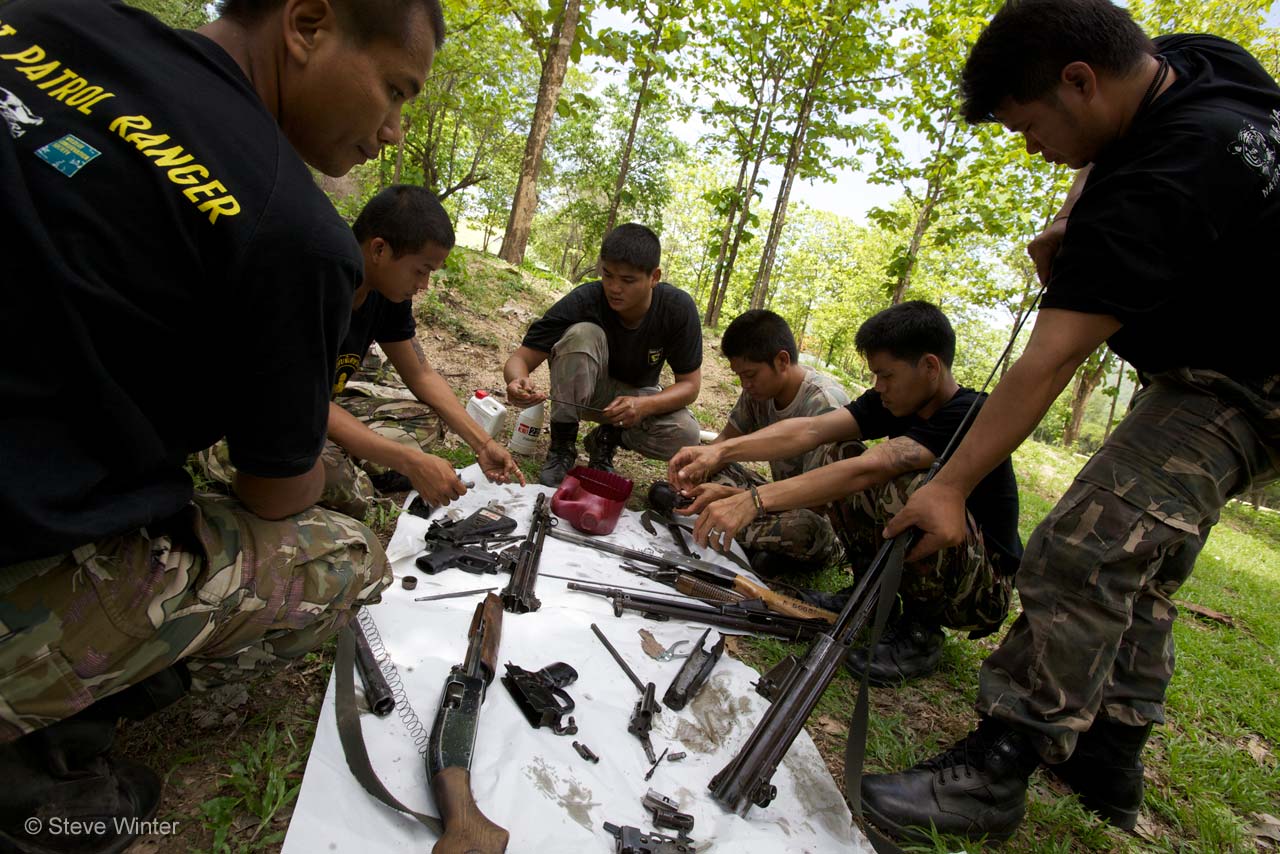 Tiger defenders
