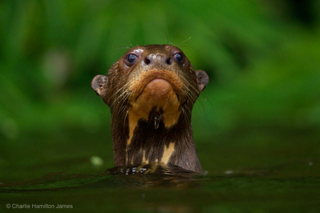Treading water