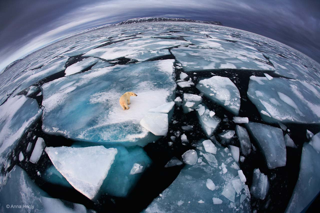 Ice matters
