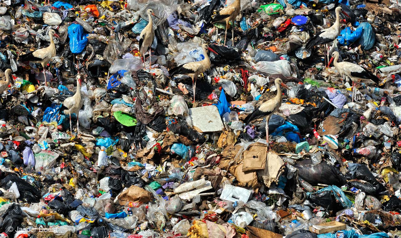 Garbage picking