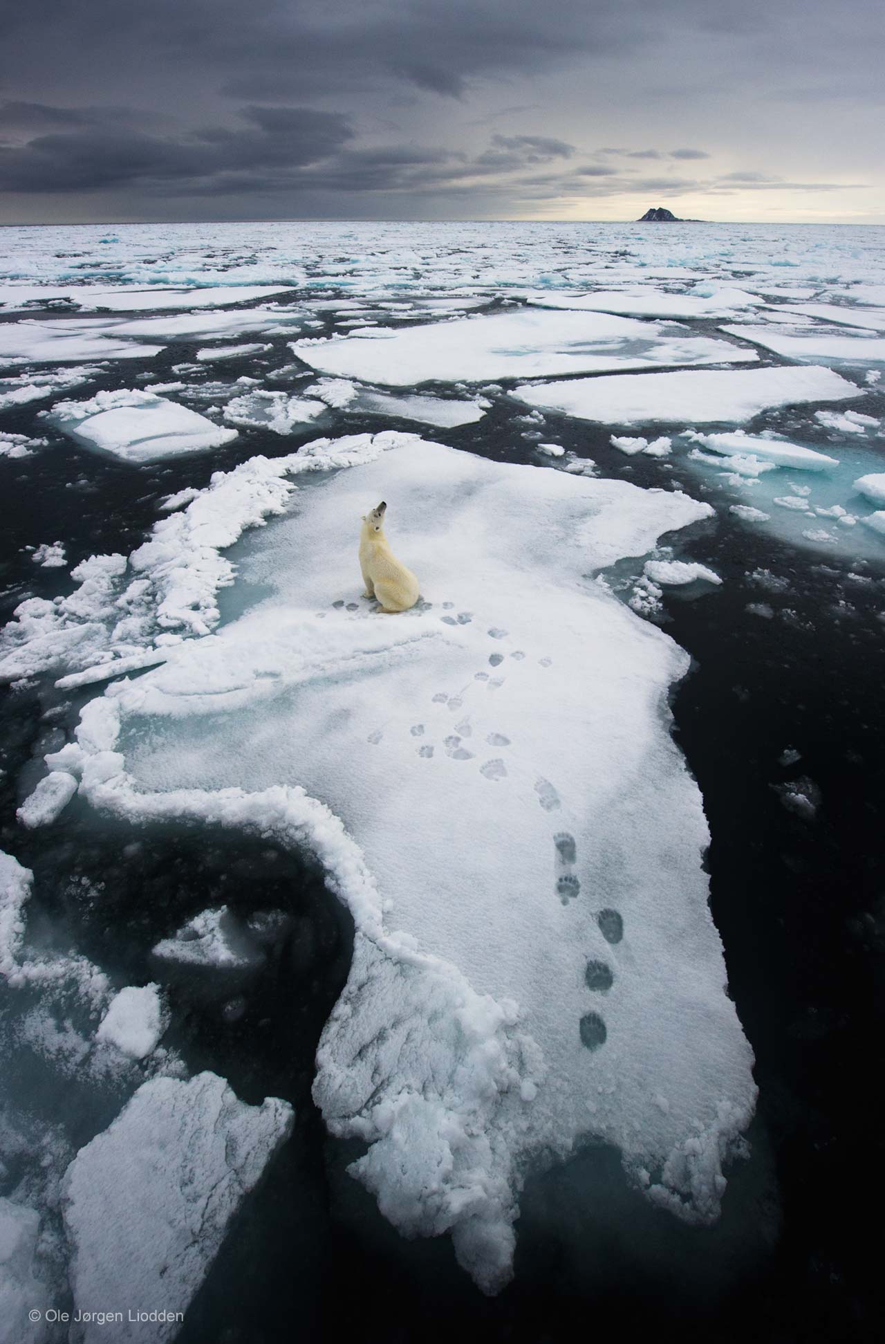 Living on thin ice