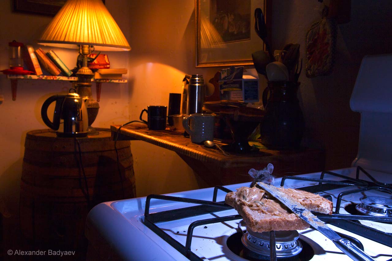 Midnight snack
